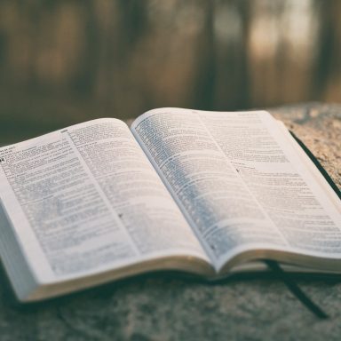 Open Bible resting on a rock outdoors